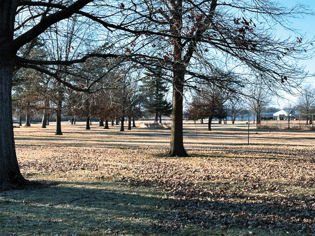 Jayne's Park, Taylorville